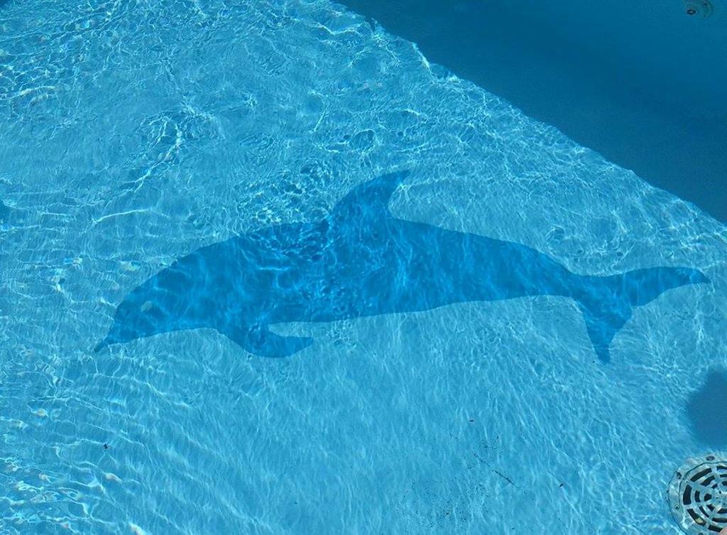 Aparthotel Marina Gromela Mirce Pokój zdjęcie